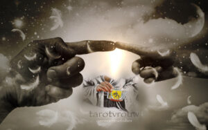 15678386615581505789037178266057 gggg