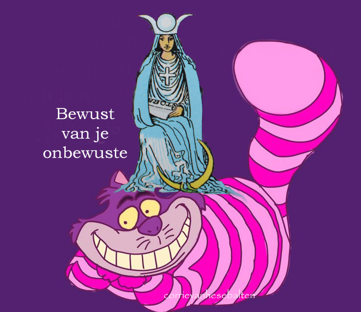 kat onbewuste bewust, alice