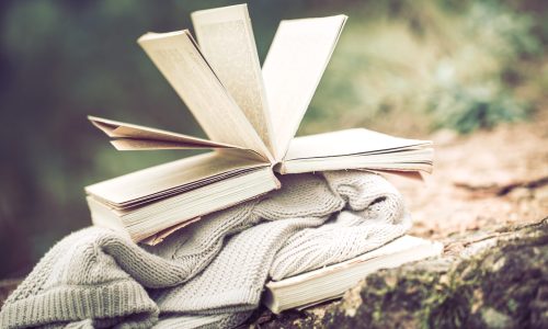 still life with a book on the background of nature